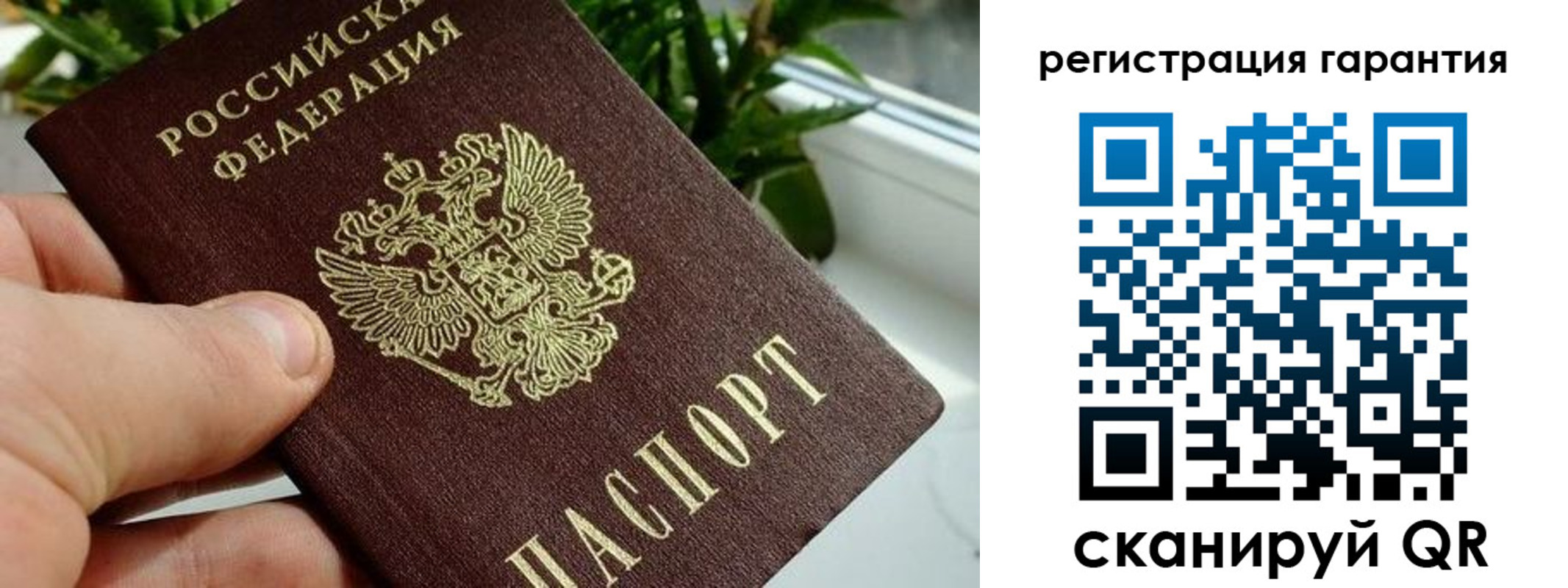 временная регистрация надежно в Отрадном